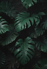 Fototapeta premium Luxurious dark green & black tropical leaf abstract Bold, exotic, shadowy design , abstract, wallpaper