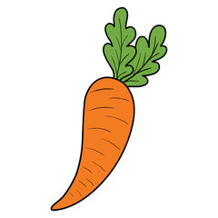 Hand drawn cartoon carrot on white background.