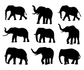 elephant animal silhouette collection free download
