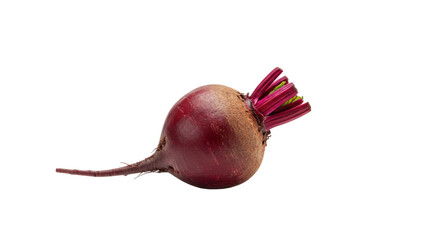 Single Fresh Beetroot on White Background