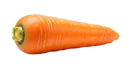 Fresh Carrot Isolated on White Background