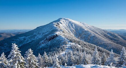 Winter's Diamond Crown