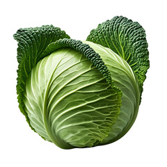 Obraz premium Savoy Cabbage Unveiling the Beauty of its Tightly-Curled Leaves, A Vibrant Green Vegetable