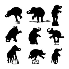 circus animal silhouette elephant collection set