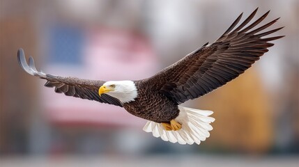 Naklejka premium A bald eagle is flying over a red, white, and blue American flag