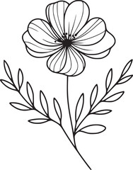 Obraz premium Line drawing of various flowers vector, clipart, transparent, png, element