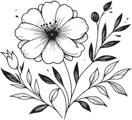 Line drawing of various flowers vector, clipart, transparent, png, element
