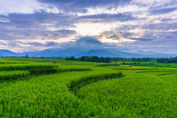 Obraz premium beautiful morning view from Indonesia of mountains and tropical forest