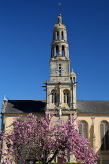 The bell tower of Saint Patrice church in Bayeux, Calvados, Normandy, France, with a blooming tree in the foreground