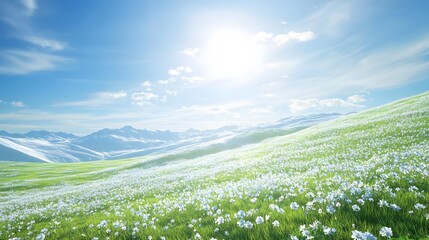 Stunning Spring Meadow Landscape with White Flowers and Snowy Mountains