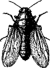 Dark Aesthetic Dithering Graphic