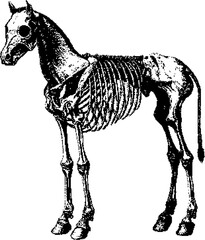 Dark Aesthetic Dithering Graphic