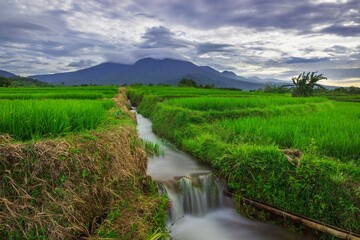 Fototapeta premium beautiful morning view from Indonesia of mountains and tropical forest