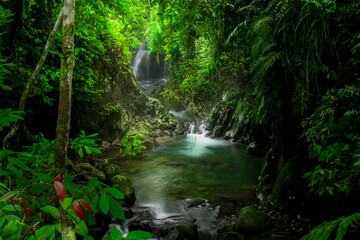 Obraz premium beautiful morning view from Indonesia of mountains and tropical forest