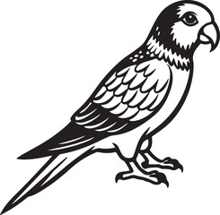 Two parrots in outline drawing perched side by side, perfect for wildlife illustrations, lovebird themes, and tropical design elements.