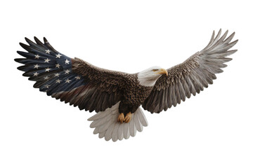 Fototapeta premium american eagle with flag