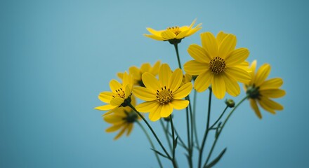 Golden Hour Bloom