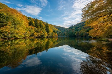 Naklejka premium Explore a tranquil lake surrounded by vibrant trees, reflecting the beauty of nature's serene and undisturbed harmony.
