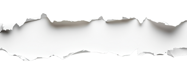 Torn Paper Strip