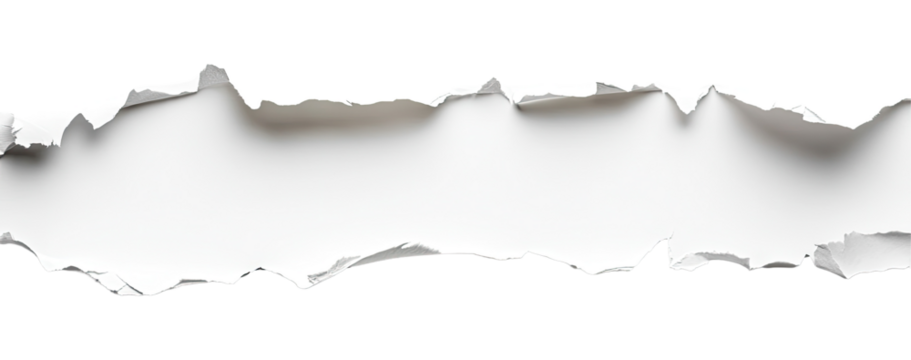 Torn Paper Strip