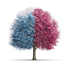 A Single Tree Divided Blue and Red Foliage Representing Duality or Contrast.