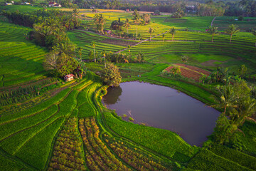 beautiful morning view from Indonesia of mountains and tropical forest