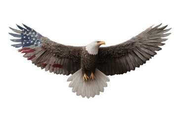 American bald eagle png