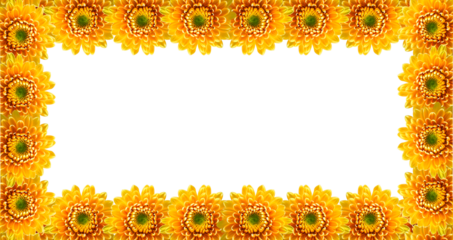 frame made from yellow flowers