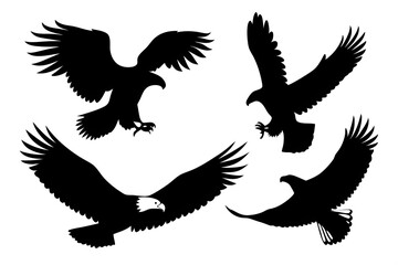 Obraz premium Set of silhouette eagles, eagle vector illustration, silhouette of eagles 