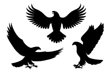 Obraz premium Set of silhouette eagles, eagle vector illustration, silhouette of eagles 