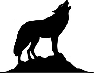 wolf black and white illustration
