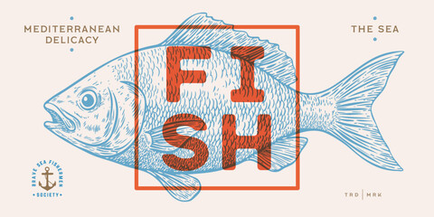 Gilt-head bream, fish, Dorado, seafood, sketch. Vintage retro print, seafood fish sketch, logo sign template, ink pencil style drawing, engrave old school. Hand drawn sketch fish. Vector Illustration