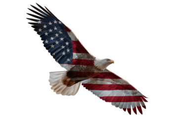 Eagle Flag 4th of July PNG
