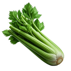 Fototapeta premium Celery Stalks Showcase Vibrant Green Hues, Isolated on Transparent Background