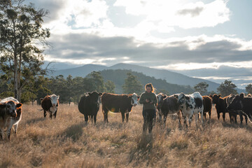 mature female farmer in a farming family. regenerative organic female farmer, taking soil samples and looking at plant growth in a farm. practicing sustainable agriculture