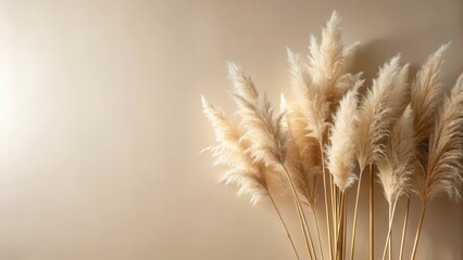 Pampas grass silhouette against soft beige wall, decorative element
