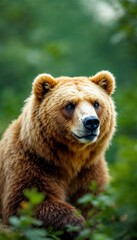 Obraz premium Captivating Portrait of Brown Bear Amidst Lush Greenery Displaying Wildlife Majesty and Natural Beauty