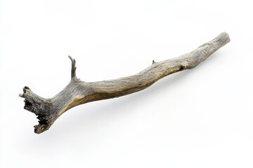 Naklejka premium A weathered branch lies diagonally
