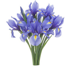 Bouquet of deep blue irises, bright yellow centers, green stems against a dark background