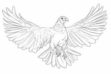 Obraz premium Detailed Line Art of a Majestic Bird Spreading Its Wings in Flight