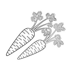 ‎A black and white carrot illustration line art of a coloring page