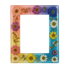 Colorful frame adorned with dried flowers in a gradient rainbow hue, enhancing its natural aesthetic