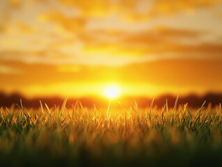 Fototapeta premium A stunning sunset over a grassy field with silhouetted landscape capturing the beauty of nature's artistic creation at dusk
