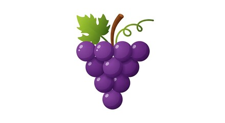 Fototapeta premium Bunch of Purple Grapes Isolated on White Background