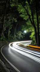 Fototapeta premium Curving Road at Night with Light Trails in Lush Forest Long Exposure Scenic View