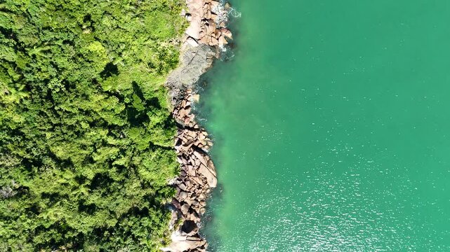 Scenic Coastal Region with Exotic Birds, Shipping Port, and Natural Beauty