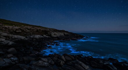 Night Ocean with Bioluminescence and Stars on Rocky Coastline