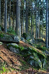 Czech Republic - view of Cizkovy stones near the town of Trutnov