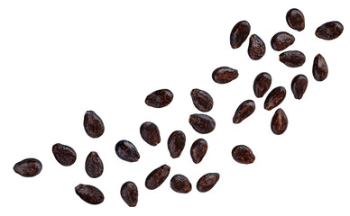 Flying Watermelon seeds isolated on white. Collection of  falling  Watermelon fruit seeds. Set.  Pattern. Package design element..