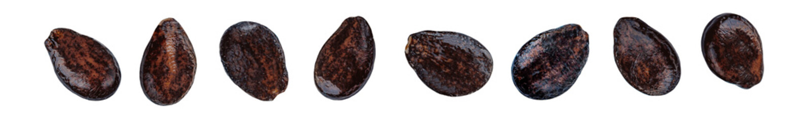 Flying Watermelon seeds isolated on white. Collection of  Watermelon fruit seeds. Set.  Pattern. Package design element..